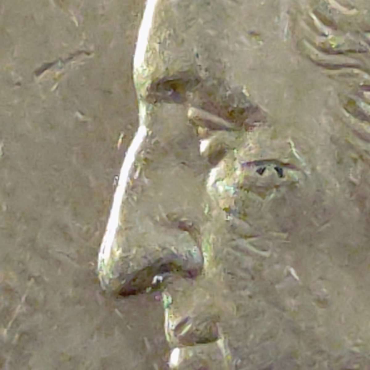2004-P-Texas-State-Quarter-Possible-Error-On-The-Face